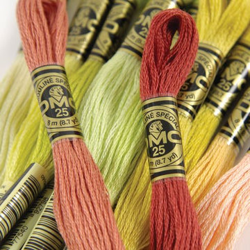 MOULINE' DMC da 3810 a 3866